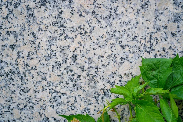 大理石纹理背景 天然花岗岩图案 大理石意大利地板表面 灰色褐色大理石模型与复制空间 — 图库照片