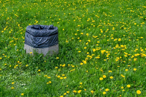 Park 'ta Beton Çöp Kutusu, Büyük Vandal-Dirençli Çöp Kutusu, Çöp ve Geri Dönüşümsüz Atıklar İçin Büyük Ağır Çöp Kutusu