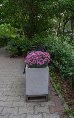 Road Flower Ot, Sokak Yatağı, Karanfil Kutuları Modern Şehir Çiçekçiliği, Şehir Çiçek Yatakları Tasarımı, Şehir Çiçekleri Peyzajı, Yaz Caddesi 'ndeki Çiçek Saksıları