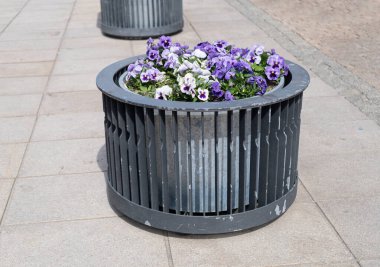 Road Flower Ot, Sokak Yatağı, Sandık Kutuları Modern Şehir Çiçekçiliği, Şehir Çiçek Yatakları Tasarımı, Şehir Çiçekleri Peyzajı, Yaz Caddesinde Çiçek Saksısı