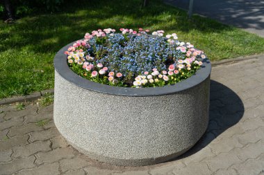 Road Flower Ot, Sokak Yatağı, Sandık Kutuları Modern Şehir Çiçekçiliği, Şehir Çiçek Yatakları Tasarımı, Şehir Çiçekleri Peyzajı, Yaz Caddesinde Çiçek Saksısı