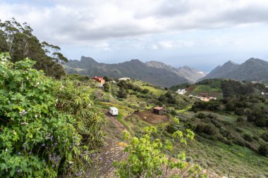 Laurel Park kırsalından, Anaga kırsalından, Tenerife yosun ağaçlarından yeşillik, yürüyüş yolları, eğlence alanı, yerel bitki manzarası, doğal çevre aktiviteleri, halka açık park manzarası