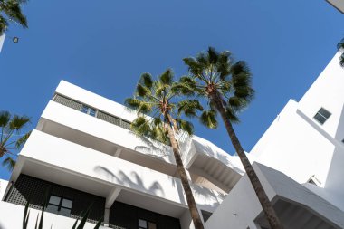 Mavi arka planda palmiye ağaçları olan modern beyaz binalar. Temiz mimari çizgiler, yemyeşil palmiyeler, çağdaş şehir tasarımı, minimum geometrik mimari