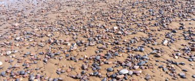 Renkli Çakıl Sahili Doku Arkaplanı, Kum ve Rocky Deseni, Kızıl Fas Sahili, Afrika Sahili, Çakıl ve Kum Mokikuşu, Taş Sahil Hattı, Kopya Boşluğu