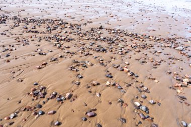 Renkli Çakıl Sahili Doku Arkaplanı, Kum ve Rocky Deseni, Kızıl Fas Sahili, Afrika Sahili, Çakıl ve Kum Mokikuşu, Taş Sahil Hattı, Kopya Boşluğu