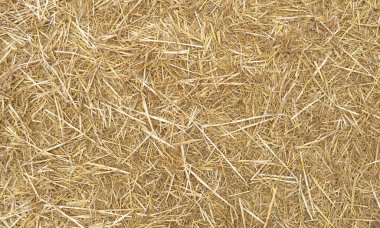 Saman Arkaplanı, Hasır Desen, Thatch dokusu, Kuru Altın Çimen Moklası, Kuru Balya Saman Balyaları Yığını Banner, Metin İçin Kopya Alanı ile Saman Dokusu