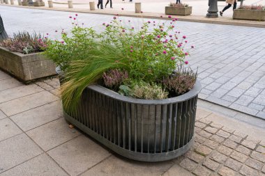 Road Flower Ot, Sokak Yatağı, Sandık Kutuları Modern Şehir Çiçekçiliği, Şehir Çiçek Yatakları Tasarımı, Şehir Çiçekleri Peyzajı, Yaz Caddesinde Çiçek Saksısı