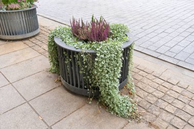 Road Flower Ot, Sokak Yatağı, Sandık Kutuları Modern Şehir Çiçekçiliği, Şehir Çiçek Yatakları Tasarımı, Şehir Çiçekleri Peyzajı, Yaz Caddesinde Çiçek Saksısı