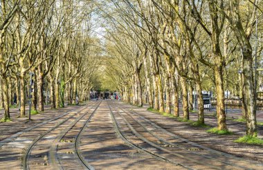Bordeaux, Fransa, 17 Nisan 2024: Bordeaux 'da toplu taşıma, Fransa' da tramvaylar, raylar, tramvay rayları, caddeler, binalar, parklar, kentsel turizm, Avrupa 'nın eski editör imajı