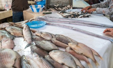 Essaouira, Fas, 10 Ocak 2024: Essaouira Medina limanındaki balık pazarı, deniz kestaneleri, istiridye ve deniz ürünleri Fas 'ta deniz ürünleri satışı, gıda zehirlenmesi ucuz, editoryal görüntü ucuz