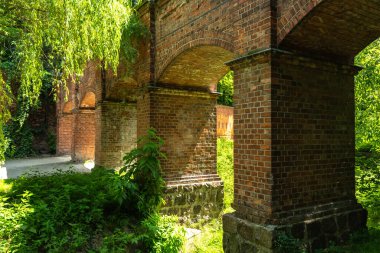 Varşova, Polonya, 8 Haziran 2024: Varşova 'daki Eski Hisar Parkı, yürüme yolları, anıtları ve manzaralı tarihi yeşil alan. Rahatlama, koşu ve aile gezileri, editoryal imaj popülerliği
