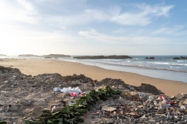 Essaouira, Fas - Ocak 2024: Essaouira Sahili, Fas Çöplüğü, Essaouira 'nın Kirli Sahili, Birçok Plastik Şişe, Editörel Görüntü