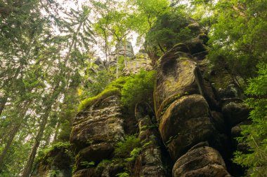 Bereketli yeşillikler ve turizm, eko-turizm, doğa reklamcılığı, seyahat rehberleri, turizm İnternet siteleriyle çevrili görkemli kumtaşı uçurumları