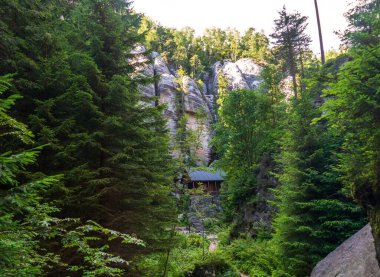 Uçurumlarla çevrili ve yemyeşil ormanlarla çevrili kırsal bir ahşap kulübe keşif ve rahatlama için ideal manzaralı ve huzurlu bir dinlenme yeri sunuyor.