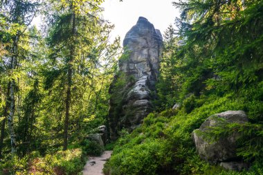 Bereketli yeşillikler ve turizm, eko-turizm, doğa reklamcılığı, seyahat rehberleri, turizm İnternet siteleriyle çevrili görkemli kumtaşı uçurumları