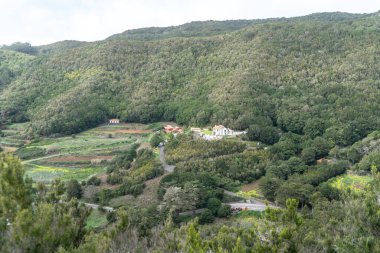 Laurel Park kırsalından, Anaga kırsalından, Tenerife yosun ağaçlarından yeşillik, yürüyüş yolları, eğlence alanı, yerel bitki manzarası, doğal çevre aktiviteleri, halka açık park manzarası