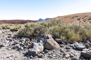 Lava Tarlaları, sünger taşı dokusu, volkanik sünger taşı deseni, lavın parçaları, Teide Bazalt Olağanüstü Igneous Kayası, İspanya 'da Renkli Porto Volkan Taşları, Tenerife Tepesi, Teide Tepesi