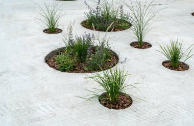 Modern Çiçek Saksısı, Sokak Yatağı, Sandık Kutuları Modern Şehir Çiçekçiliği, Şehir Çiçek Yatakları Tasarımı, Şehir Çiçekleri Peyzajı, Yaz Caddesinde Çiçek Saksısı