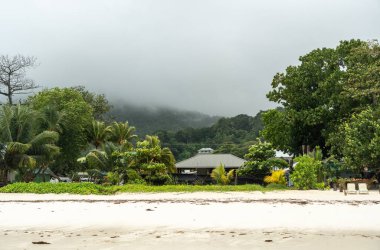 Praslin, Seyşeller, 3 Şubat 2025: Praslin, Seyşeller 'de yemyeşil, palmiye ağaçları ve yazlık binaların editoryal görüntüsü olan sisli bir plaj manzarası