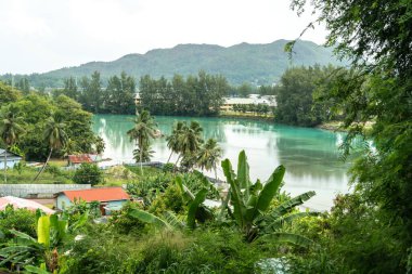 Praslin, Seyşeller, 3 Şubat 2025: Praslin, Seyşeller 'deki tropikal bitki örtüsü, palmiye ağaçları, evler ve uzak tepelerin editörlük görüntüsü