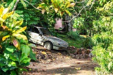Praslin, Seyşeller, 3 Şubat 2025 'te Praslin, Seyşeller' de toprak bir yol başyazısının yakınındaki tropikal bitkilerle kaplı terk edilmiş bir araba.