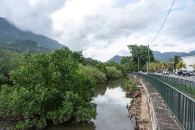 Victoria, Seyşeller, 31 Ocak 2025: Mangrovları, dağları ve bir yol editoryal görüntüsü olan nehir veya kanal