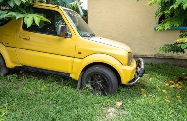 Beau Vallon, Seyşeller, 31 Ocak 2025: Seyşeller 'de küçük bir kertenkele, lastik yüzeyle harmanlanmış sarı bir arabanın siyah lastiğinin üzerinde duruyor.