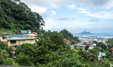 Victoria, Seyşeller, 31 Ocak 2025: Seyşel Tepesi manzaralı evler, yeşil ağaçlar ve yel değirmenleri görüntülü Hint okyanusu