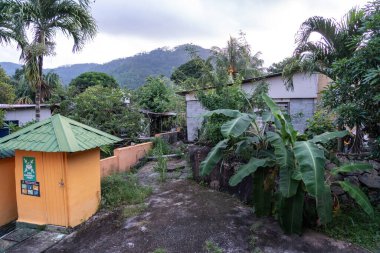 Beau Vallon, Seyşeller, 31 Ocak 2025: Seyşeller 'de tropikal bitkiler, muz ağaçları ve basit bir sarı bina görüntüsü olan ucuz bir otel alanı