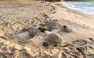 Beau Vallon, Seyşeller, 2 Şubat 2025: El yapımı kum kaplumbağaları, gün batımında deniz yosunlarıyla süslenmiş, deniz yosunlarıyla süslenmiş,