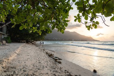 Beau Vallon, Seyşeller, 2 Şubat 2025, sakin bir sahil üzerinde altın gün batımı, dalgalar kıyıya hafifçe dokunuyor ve yumuşak kum editoryal görüntüsünde ayak izleri