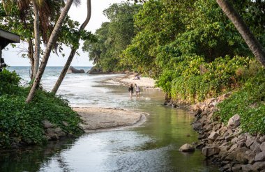 Beau Vallon, Seyşeller, 2 Şubat 2025: Turistler Hint Okyanusu 'na akan sığ bir nehirden geçerek, yemyeşil yeşil yeşil yayın görüntüsüyle çevrelenir.