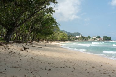 Beau Vallon, Seyşeller, 2 Şubat 2025: Okyanus dalgaları, bereketli ağaçlar ve parlak gökyüzü görüntüsü altında kıyı şeridi boyunca yürüyen birkaç kişi