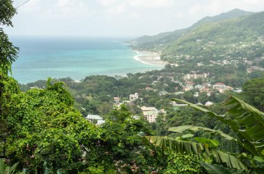 Beau Vallon, Seyşeller, 2 Şubat 2025: Tepeden Beau Vallon Sahili panoramik manzarası, yemyeşil evler ve arka plandaki turkuaz okyanus.