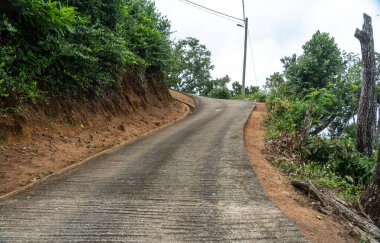 Beau Vallon, Seyşeller, 2 Şubat 2025: Yeşillik ve ağaçlarla çevrili orman boyunca dik beton yol, yaban hayata doğru yokuş yukarı gidiyor.