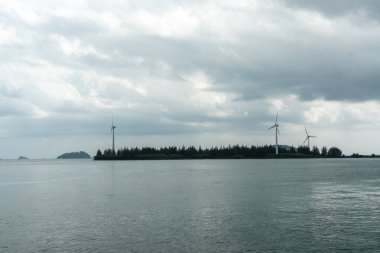 Victoria, Seyşeller, 31 Ocak 2025: Akbalıkçıl, Sir Selwyn Selwyn-Clarke Market, Seyşeller 'deki balık tezgahında sinekleri yakalıyor.