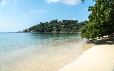 Praslin, Seyşeller, 3 Şubat 2025: Praslin, Seyşeller 'deki Anse Marie Louise plajı, sakin su, balıkçı tekneleri, tropikal yeşillik ve kumlu sahil yayın görüntüsü