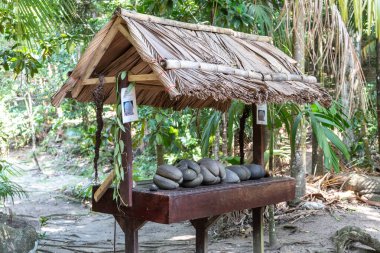 Praslin, Seyşeller, 3 Şubat 2025: Fond Ferdinand Reserve, Praslin, Seyşeller 'de turistlere sazdan yapılmış çatı görüntüsü altında fındık sergilendi