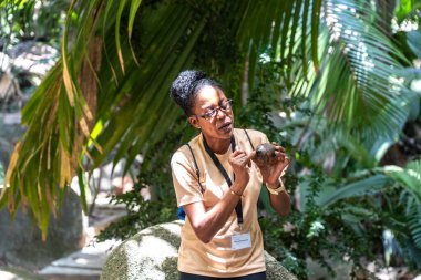 Praslin, Seyşeller, 3 Şubat 2025: Fond Ferdinand Reserve, Praslin, Seyşeller 'de bir tur rehberi, coco de mer editoryal imajının üreme sürecini anlatıyor