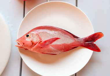 Kırmızı balık, Lutjanus ya da deniz ürünü, taze deniz ürünleri, beyaz tabakta pişmemiş taze Centroberyx balığı.