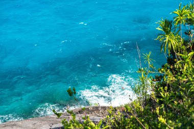 Derin mavi okyanusun üzerindeki kayalıklar ve bereketli kıyı şeridi manzaralı kayalık tropikal bitki örtüsü, Anse Major