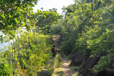 Gölgeli yol Anse Major tropikal bitki örtüsü ve adanın kayalık yamacında dönüyor.