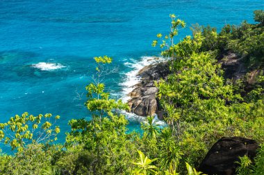 Seyşeller 'deki tropikal bitki örtüsü boyunca okyanus kayalıklarının ve kayaların manzarası.