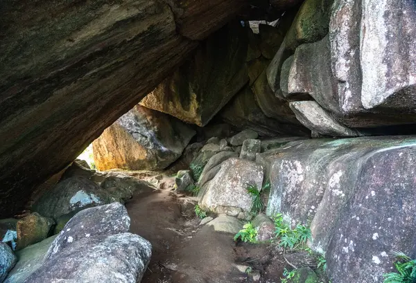 Anse Major yolundaki granit kaya tüneli kaya dokuları, yosun ve doğal geçitle