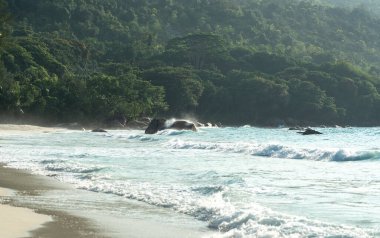 Tropikal Seyşeller plajı orman zemin zeminiyle granit kayalar ve turkuaz dalgalar dingin ve bereketli bir adada yumuşak kuma vuruyor.