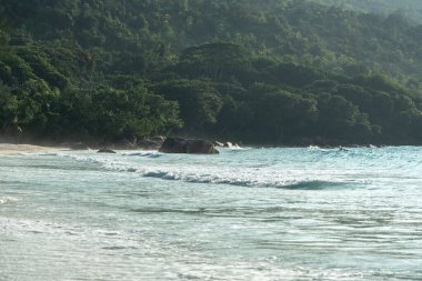Okyanus dalgalarının yakın çekim dokusu ve güneş ışığı altındaki kumlu sahil. Turkuaz tonlar ve tropikal Seyşeller sahilinde yumuşak köpük.