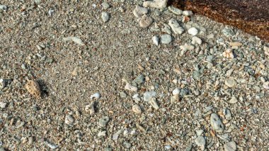 Kırık kabuklu kumsal dokusu, mercan parçaları ve Seyşeller adası sahilindeki küçük taşlar doğal pürüzlü yüzeyi ve okyanus girişini gösteriyor.