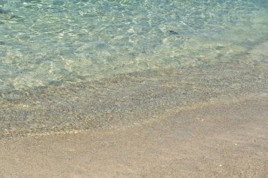 Seyşeller 'deki La Digue Adası sahilindeki ince mercan kumu üzerinde parıldayan güneş ışığı yansımalarıyla berrak, sığ okyanus suyu doğal, ışıl ışıl bir doku yaratır.