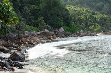 La Digue Adası manzaralı, Seyşeller, kayalık bir kıyı şeridi, tropikal palmiye ağaçları, yemyeşil orman, ve küçük körfez boyunca yumuşak okyanus dalgaları.