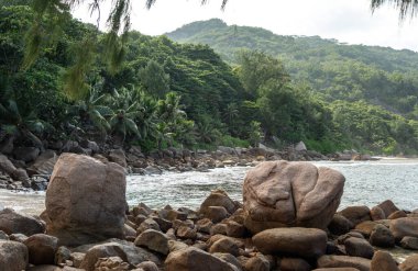 La Digue Adası manzaralı, Seyşeller, kayalık bir kıyı şeridi, tropikal palmiye ağaçları, yemyeşil orman, ve küçük körfez boyunca yumuşak okyanus dalgaları.
